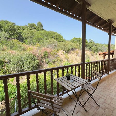 Viva Properties Ouranoupoli Eksteriør billede