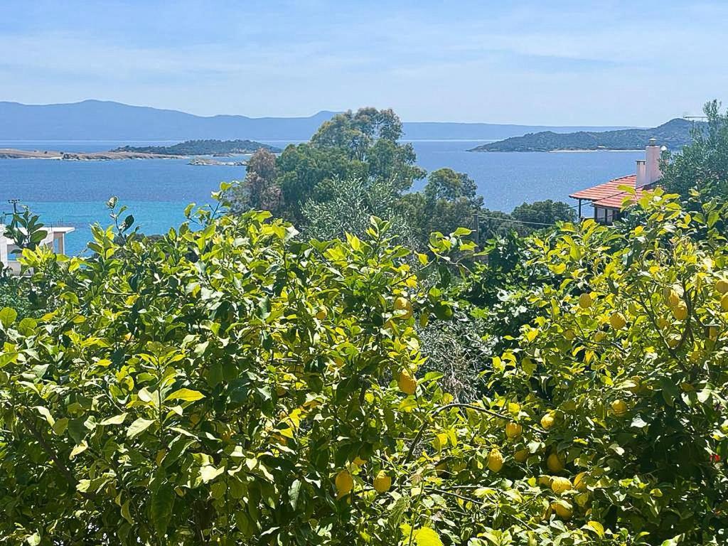 Viva Properties Ouranoupoli Eksteriør billede
